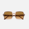SQUARE 1973 II - Marron Transparente - Marron Degrade