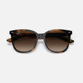 ASIAN FIT 4379D - Carey Mate - Marron Degrade