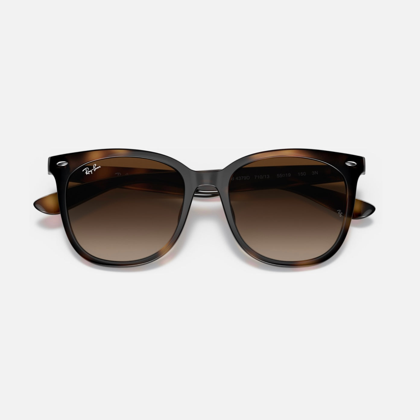 ASIAN FIT 4379D - Carey Mate - Marron Degrade