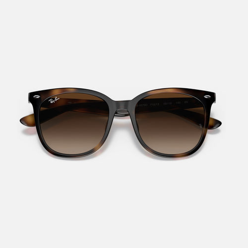 ASIAN FIT 4379D - Carey Mate - Marron Degrade