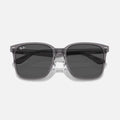 2206D - Transparente Gris - Gris Liso 1399/87