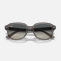 ERIK 4398 - Gris transparente - Gris Degradé 6675/71