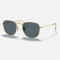 Frank Legend 3857 - 9196 - R5 Dorado-gris liso