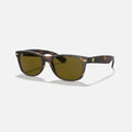 RAY BAN SCUDERIA FERRARI COLLECTION NEW WAYFARER 2132 - Carey Marron