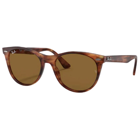 Wayfarer II 2185 - 954 33 Lighting Carey Marron Liso