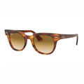 Wayfarer Meteor 2168 - 701 Carey Marron Liso0